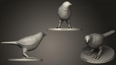 3D model Warbler (STL)